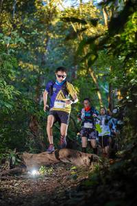 BIB: 500
                            <button type="button" onclick="openModal(19240370)" class="btn btn-primary btn-sm float-right btn-popup" data-toggle="modal" data-target=".modal-high-quality">
                        <i class="fas fa-shopping-cart"></i> Add to Cart
                    </button>
                                            <button type="button" onclick="isThisMe(19240370, true)" class="btn btn-success btn-sm float-right btn-popup btn-isme hidden" data-toggle="tooltip" data-placement="bottom" title="นี่คือรูปของคุณใช่ไหม คลิกที่นี่เพื่อเอาเข้าอัลบั้ม">
                        <i class="fas fa-plus"></i> Add to album
                    </button>
                    <button type="button" onclick="isThisMe(19240370, false)" class="btn btn-warning btn-sm float-right btn-popup btn-isnotme hidden">
                        <i class="fas fa-ban"></i> Remove from album
                    </button>